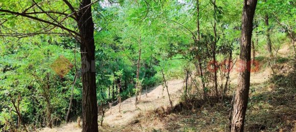 Studio in San Romano in Garfagnana, Italy No. 73445 32