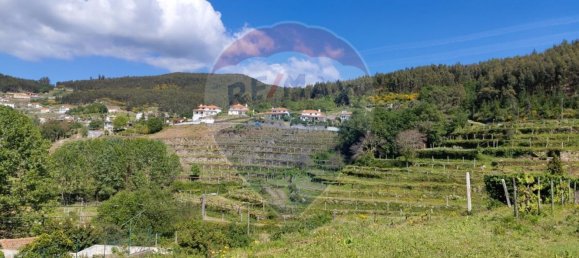 4 bedrooms House in Macieira de Cambra, Portugal No. 17144 9