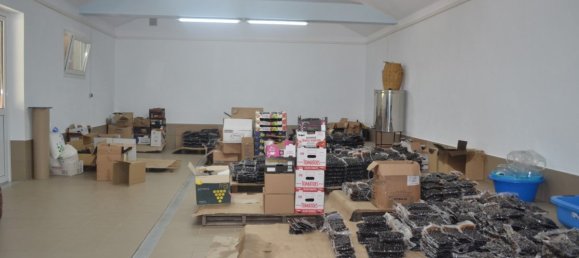 3 Schlafzimmer Villa in Chalkidiki, Greece, Nr. 1350 4