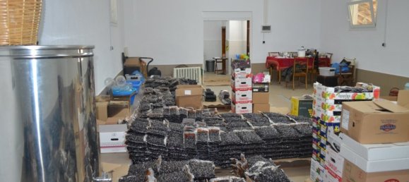 3 bedrooms Villa in Chalkidiki, Greece No. 1350 6