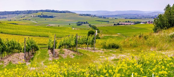 4 bedrooms House in Mainz-Bingen, Germany No. 315827 30