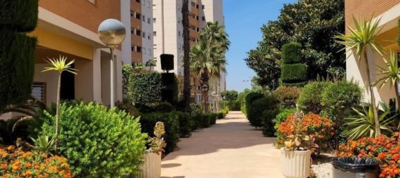 2 غرف نوم شقة في Guardamar del Segura, Spain رقم 145980 24