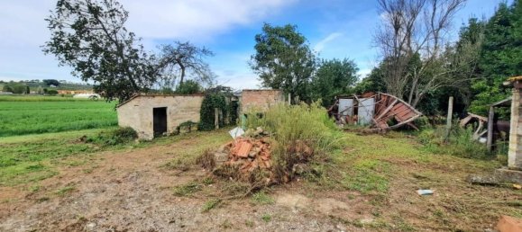 Дом с 13 комнатами в Терриччола, Италия № 269393 5