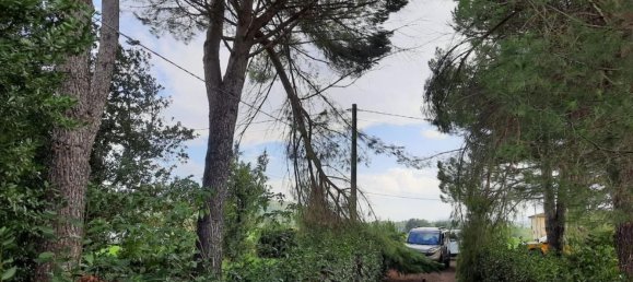 Дом с 13 комнатами в Терриччола, Италия № 269393 2