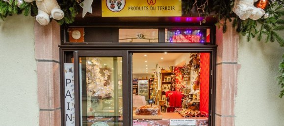 Gewerbliche Immobilie in Haut-Rhin, France 40m², Nr. 40102 4