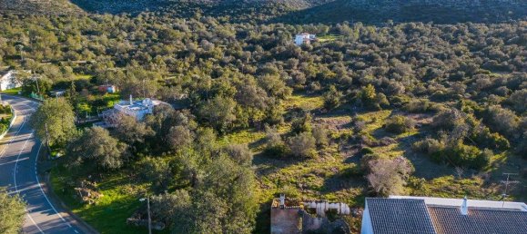 8990m² Land in Loule, Portugal No. 208584 6