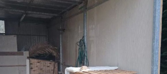 5 rooms Apartment in Bellaria Igea Marina, Italy No. 14376 8