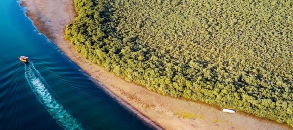 1 bedroom Apartment in GATEWAY, Al Zorah, UAE No. 63338 29