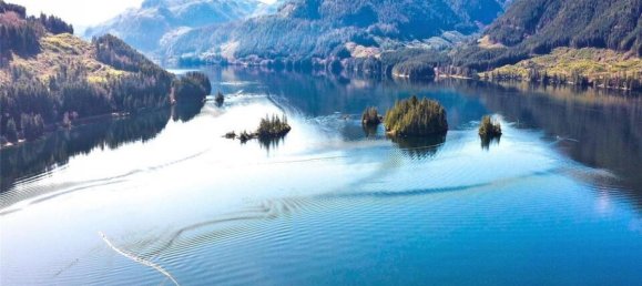 Grundstück in British Columbia, Canada, Nr. 1455 7