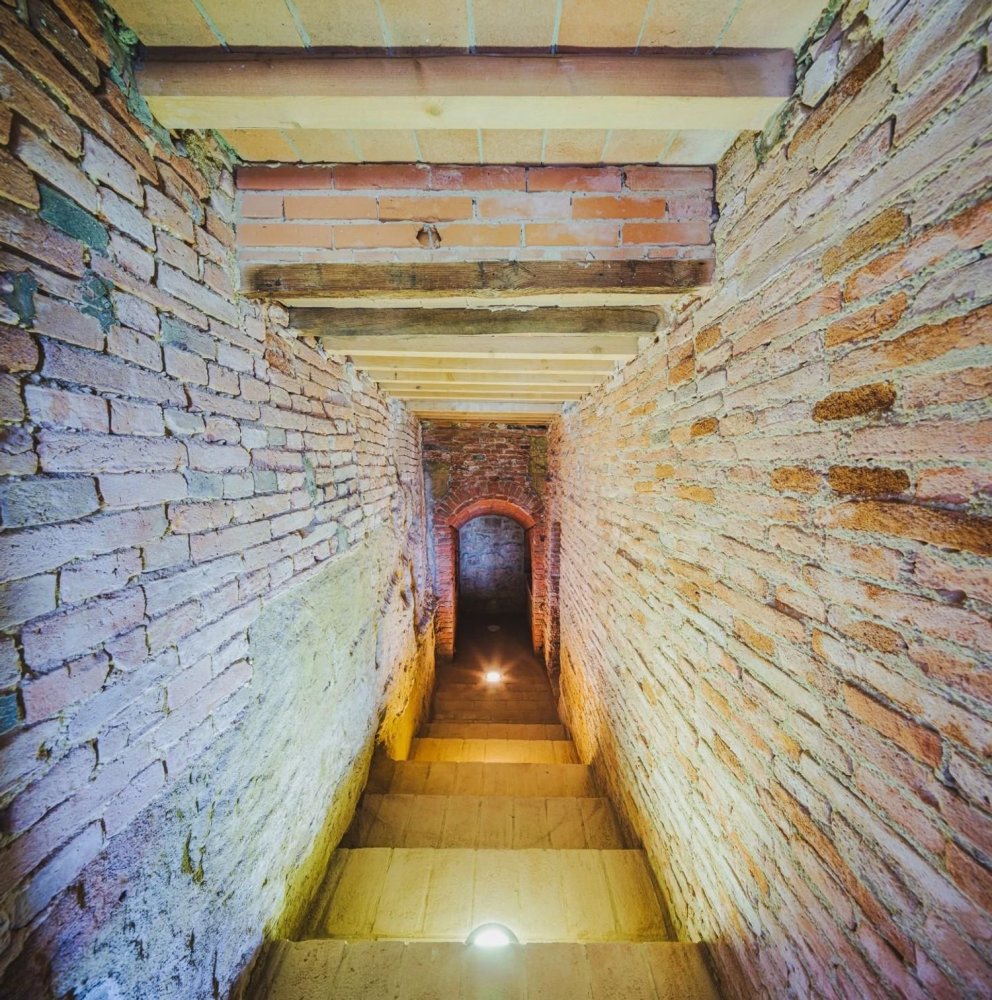 7 rooms House in Palaia, Italy No. 44260