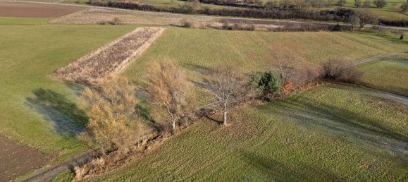 Casa T6 em Enzkreis, Germany N.º 231822 10