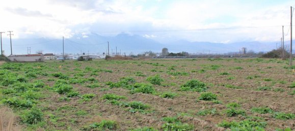 48714m² Hotel for sale in Katerini, Pieria, Central Macedonia, Macedonia and Thrace, Greece № 3764 2