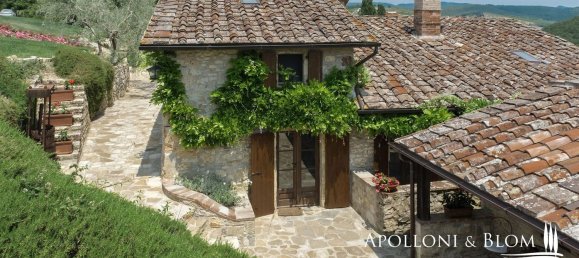 12 rooms Villa in Radda in Chianti, Italy No. 131298 8
