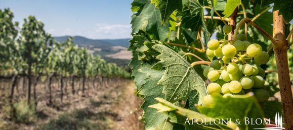 12 rooms Villa in Radda in Chianti, Italy No. 131298 42