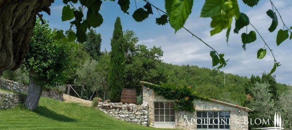 12 rooms Villa in Radda in Chianti, Italy No. 131298 19