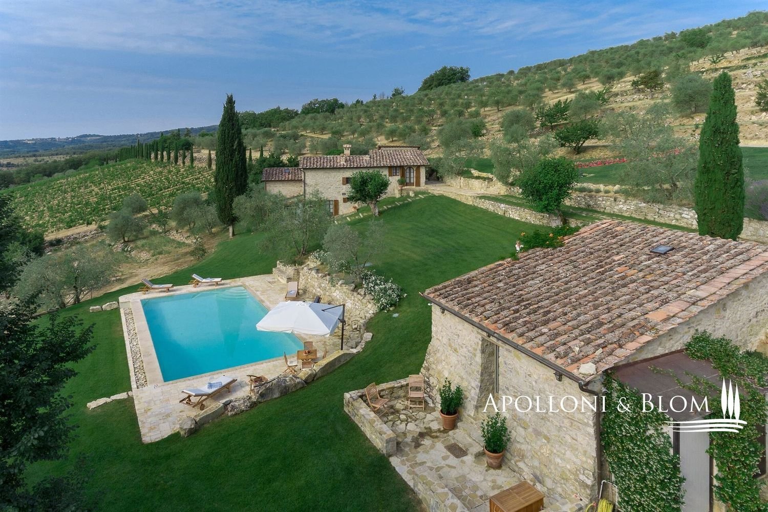 12 rooms Villa in Radda in Chianti, Italy No. 131298