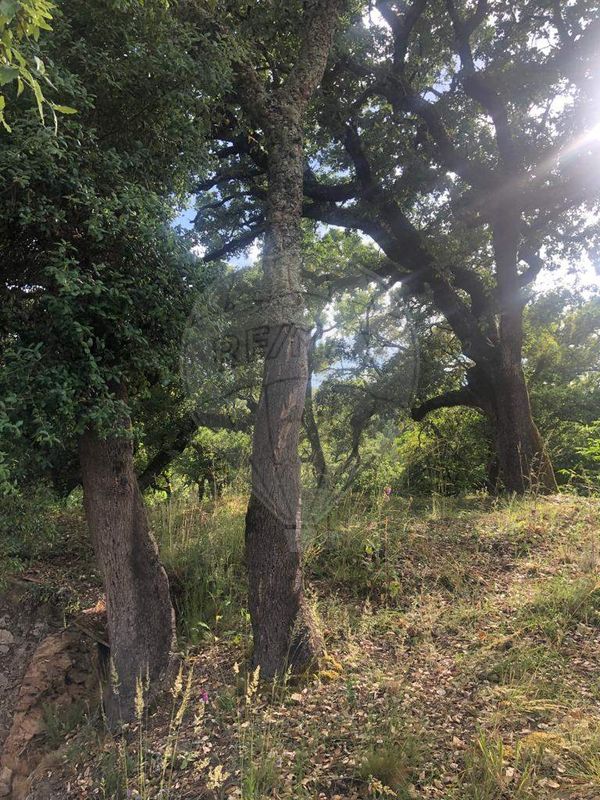 3 bedrooms House in Aguda, Portugal No. 18243