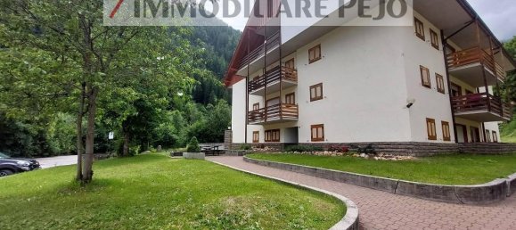 3-Zimmer Wohnung in Peio, Italy, Nr. 17660 5