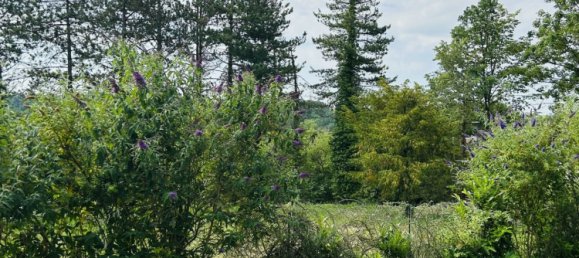 Casa T5 em Le Malesherbois, France N.º 268467 12