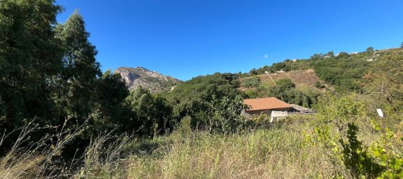 3-Zimmer Haus in Mussomeli, Italy, Nr. 278449 6