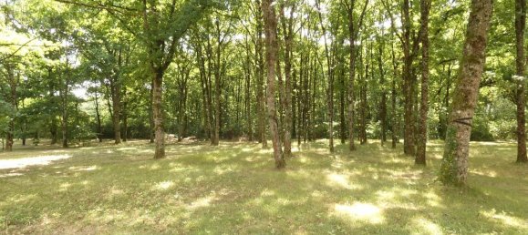 6 غرف نوم منزل في Vienne-en-Val, France رقم 279669 4