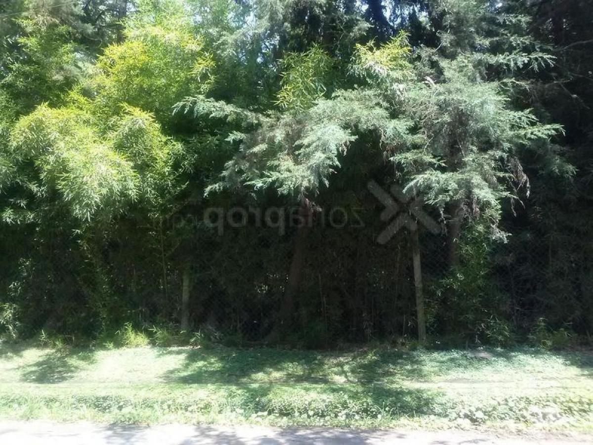 Земельный участок в Пилар, Аргентина № 43123