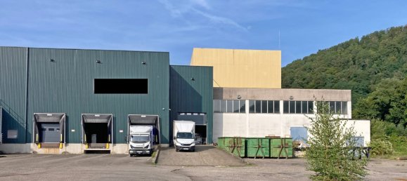 Коммерческая недвижимость 7176м² в Сент-Мари-о-Мин, Франция № 63079 2