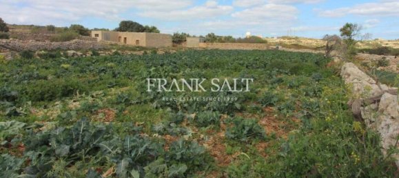 Terrain à Siggiewi, Malta 1170m² No. 13552 4