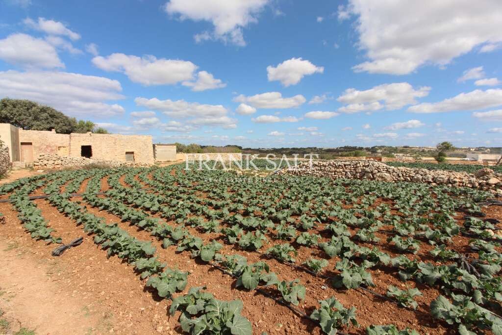Terrain à Siggiewi, Malta 1170m² No. 13552