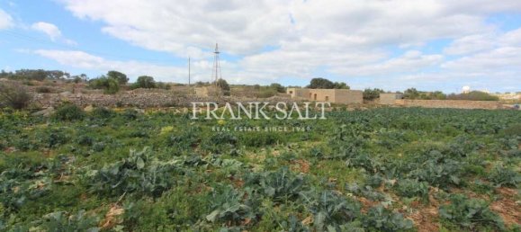 Terrain à Siggiewi, Malta 1170m² No. 13552 5