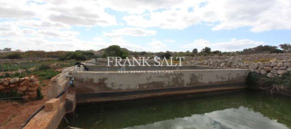 Terrain à Siggiewi, Malta 1170m² No. 13552 7