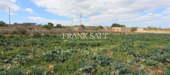 Terrain à Siggiewi, Malta 1170m² No. 13552 3