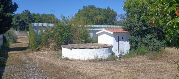 7 bedrooms House in Setubal, Portugal No. 67867 23