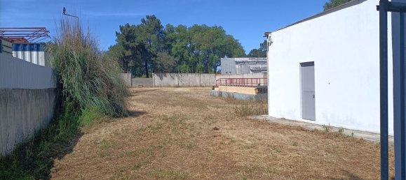 7 bedrooms House in Setubal, Portugal No. 67867 24