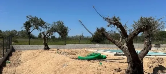 7 bedrooms House in Quarteira, Portugal No. 31886 8