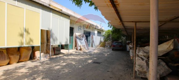 Propriété commerciale à Syracuse, Italy 592m² No. 243198 5