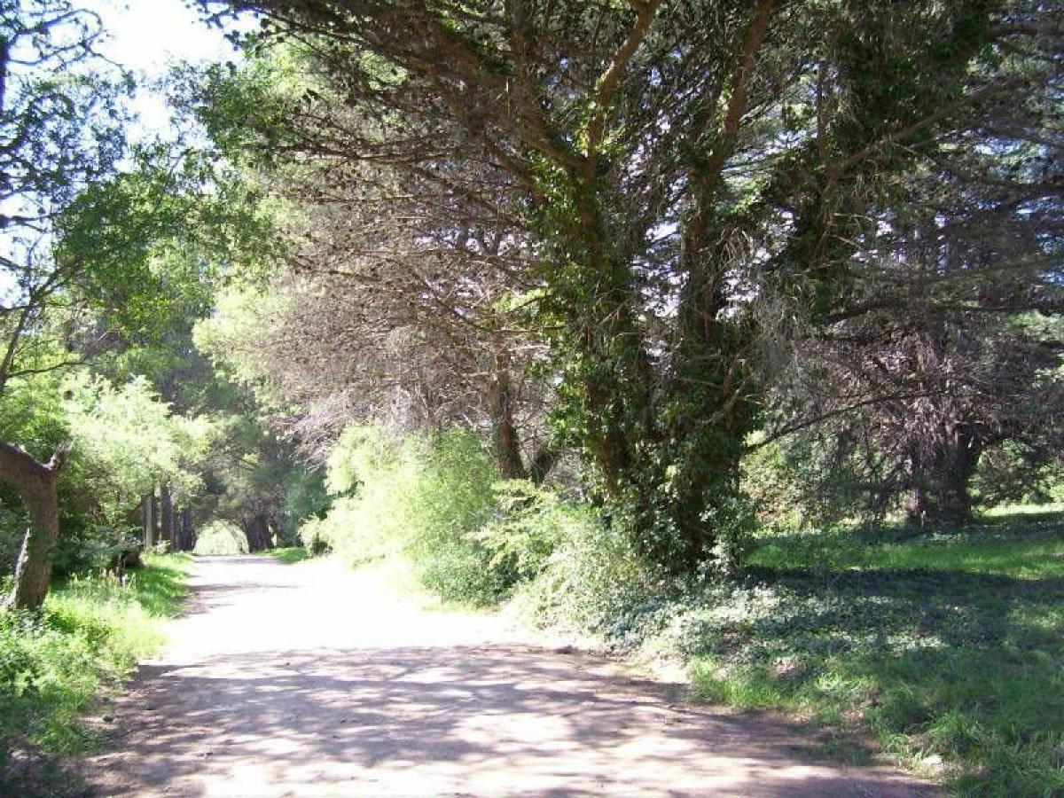  Land in Tornquist, Argentina No. 37465