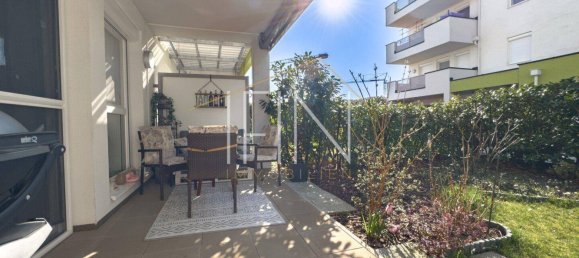 2 rooms Apartment in Ebreichsdorf, Austria No. 175896 3