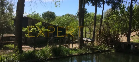 5 bedrooms House in Santarem, Portugal No. 146381 47