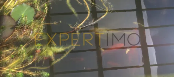 5 bedrooms House in Santarem, Portugal No. 146381 29