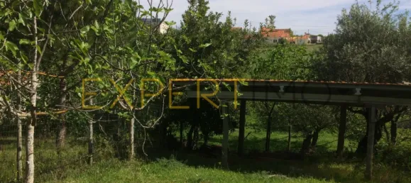 5 bedrooms House in Santarem, Portugal No. 146381 27