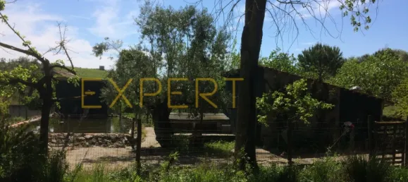 5 bedrooms House in Santarem, Portugal No. 146381 49