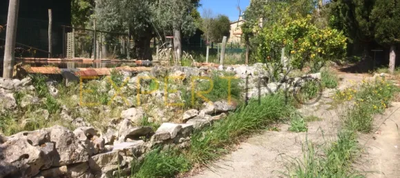 5 bedrooms House in Santarem, Portugal No. 146381 41