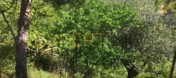 5 bedrooms House in Santarem, Portugal No. 146381 18