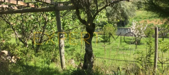 5 bedrooms House in Santarem, Portugal No. 146381 20