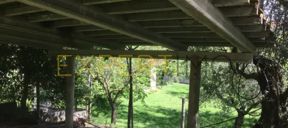 5 bedrooms House in Santarem, Portugal No. 146381 21