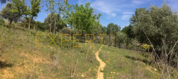 5 bedrooms House in Santarem, Portugal No. 146381 14