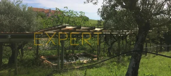 5 bedrooms House in Santarem, Portugal No. 146381 25