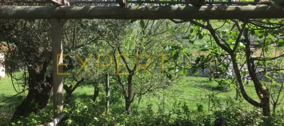 5 bedrooms House in Santarem, Portugal No. 146381 23