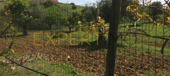 5 bedrooms House in Santarem, Portugal No. 146381 36